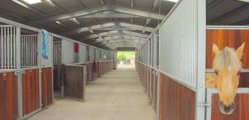 shed stables